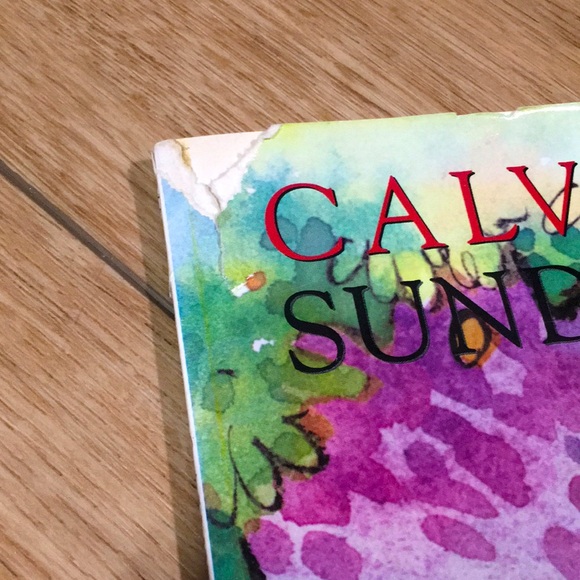 Calvin and Hobbes Sunday Pages book 1985-1995 - Picture 2 of 8